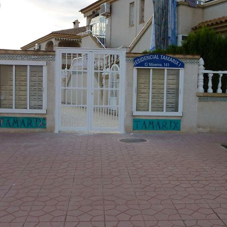 Ferienwohnung تورّيفيِخا المظهر الخارجي الصورة